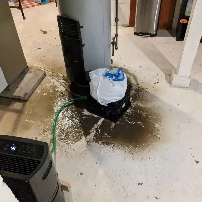 Sewage Backup Cleanup Service in Eminence, MO